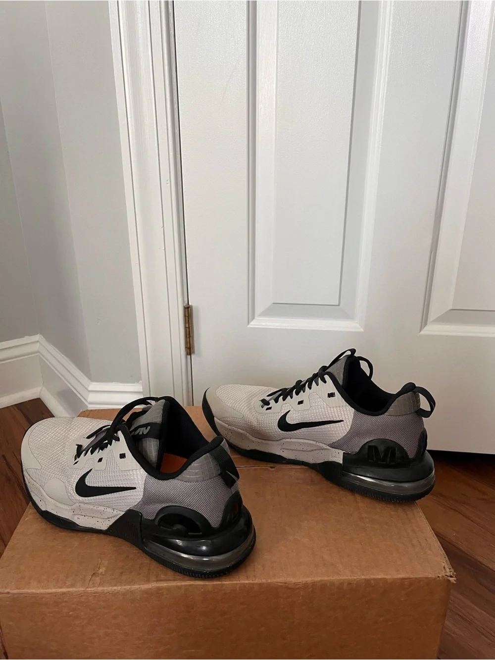 Nike Nike Air Max Alpha Trainer 5